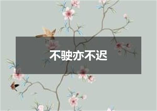 不驶亦不迟