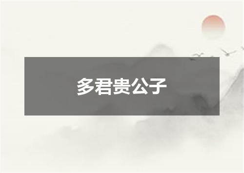 多君贵公子