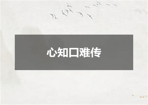 心知口难传