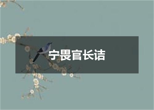 宁畏官长诘