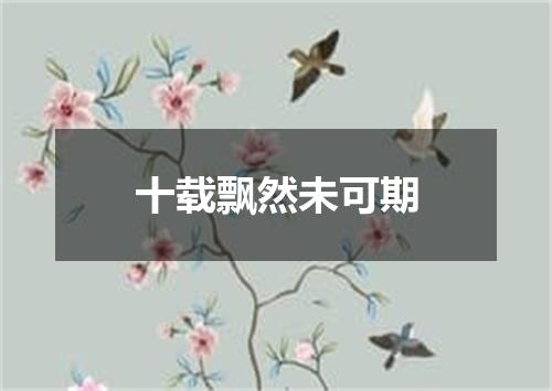 十载飘然未可期