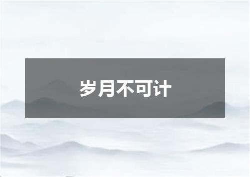 岁月不可计