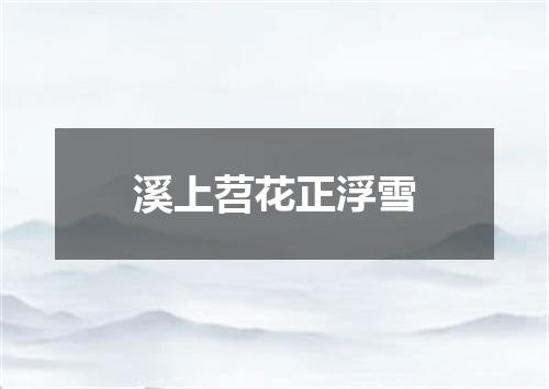 溪上苕花正浮雪