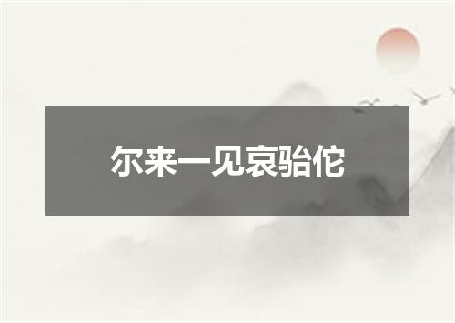尔来一见哀骀佗
