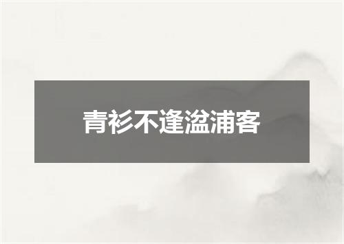 青衫不逢湓浦客