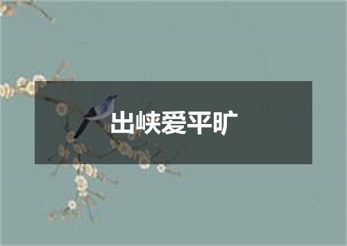 出峡爱平旷