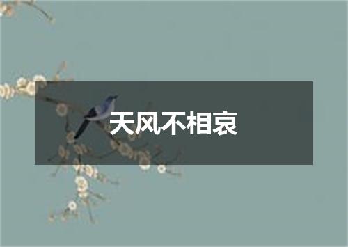 天风不相哀