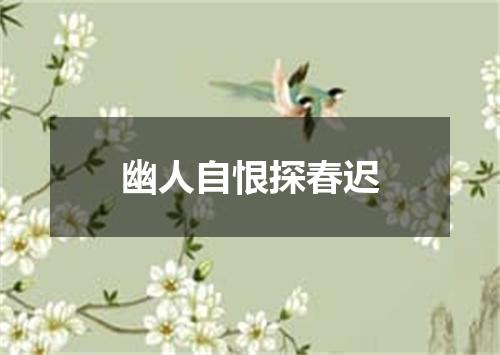 幽人自恨探春迟