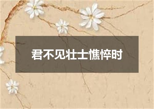 君不见壮士憔悴时