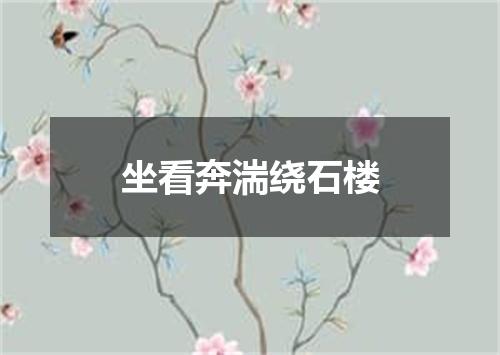 坐看奔湍绕石楼