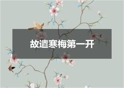 故遣寒梅第一开