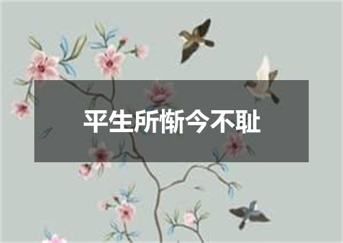 平生所惭今不耻