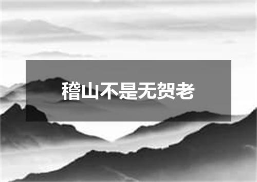稽山不是无贺老