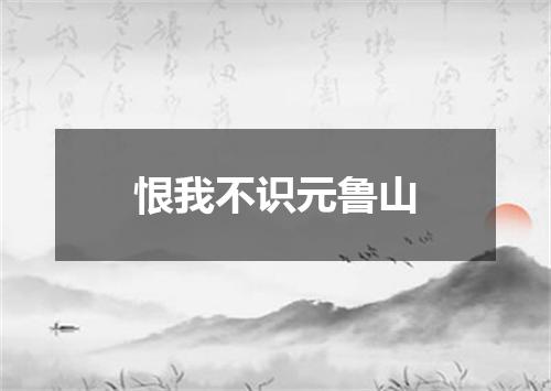 恨我不识元鲁山