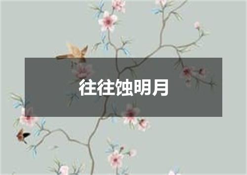 往往蚀明月