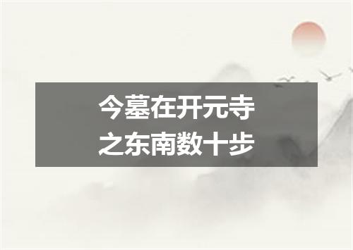 今墓在开元寺之东南数十步