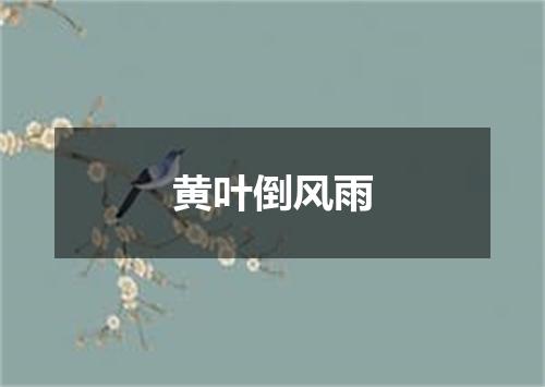 黄叶倒风雨