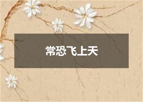 常恐飞上天