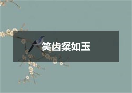 笑齿粲如玉