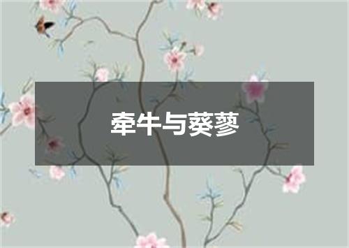 牵牛与葵蓼