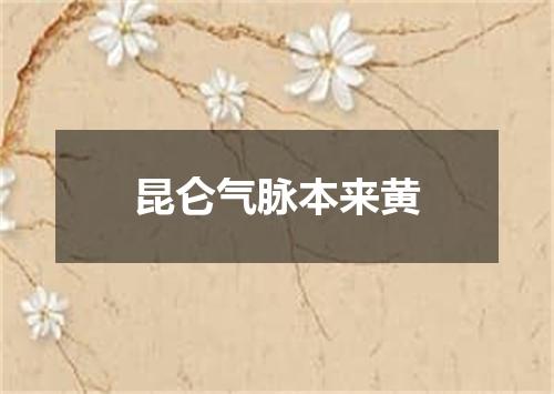 昆仑气脉本来黄