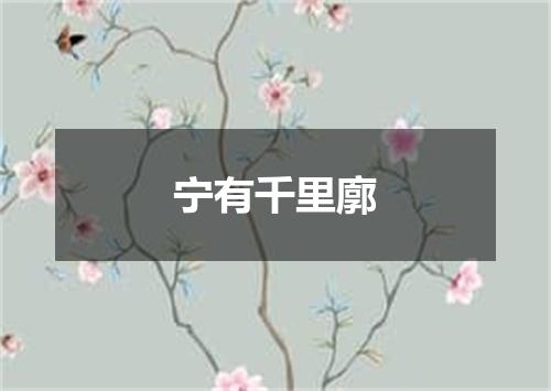 宁有千里廓