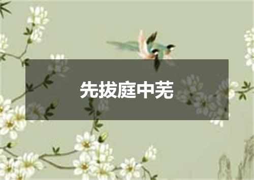 先拔庭中芜