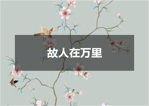 故人在万里