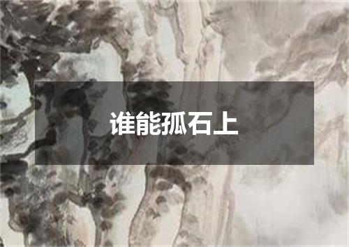 谁能孤石上