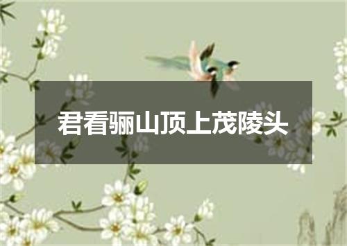 君看骊山顶上茂陵头