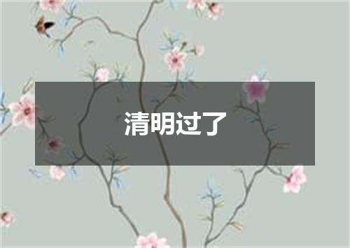 清明过了