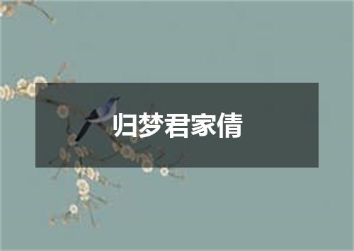 归梦君家倩