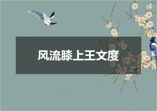 风流膝上王文度