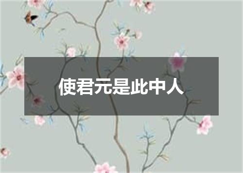 使君元是此中人