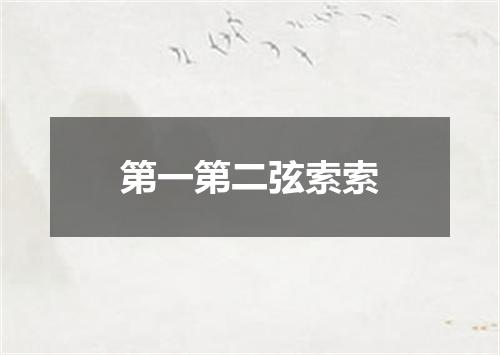 第一第二弦索索