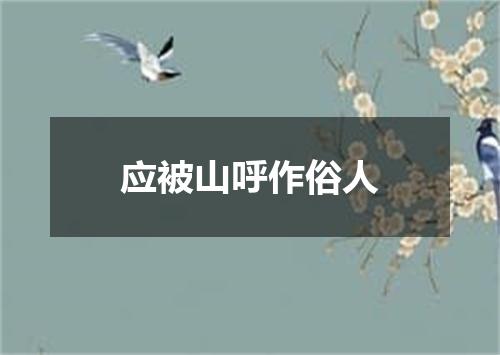 应被山呼作俗人