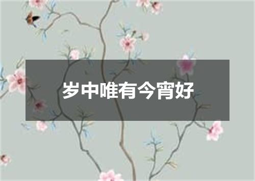 岁中唯有今宵好