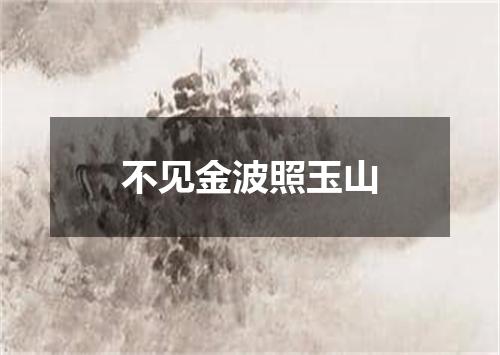 不见金波照玉山