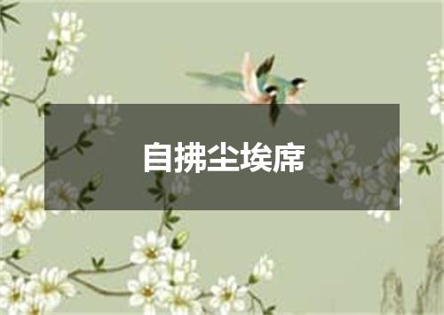 自拂尘埃席