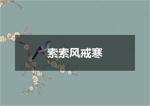 索索风戒寒