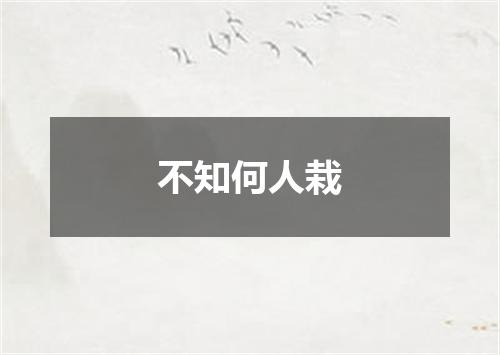 不知何人栽