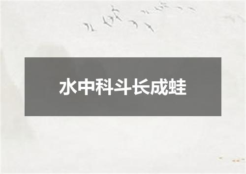 水中科斗长成蛙