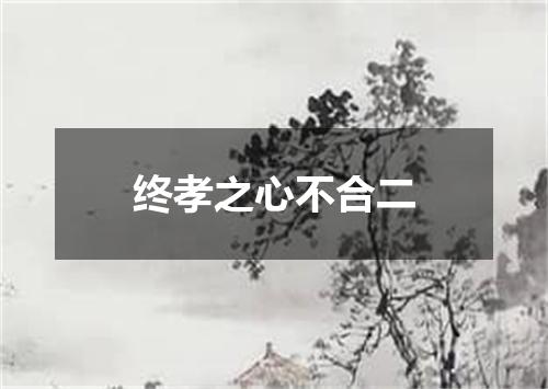 终孝之心不合二