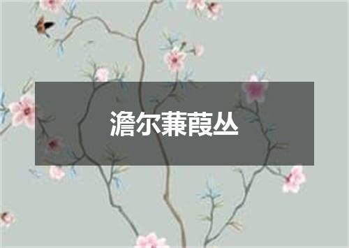 澹尔蒹葭丛