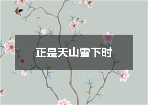 正是天山雪下时