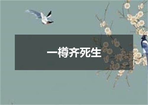 一樽齐死生