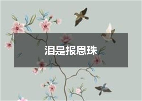 泪是报恩珠