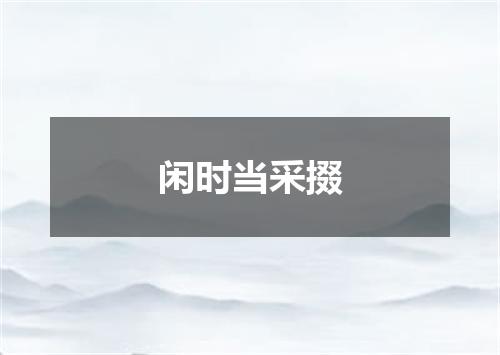 闲时当采掇
