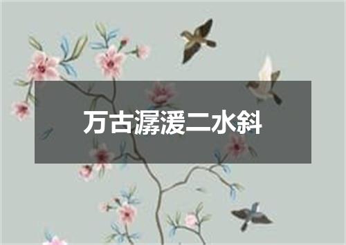 万古潺湲二水斜