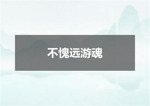 不愧远游魂